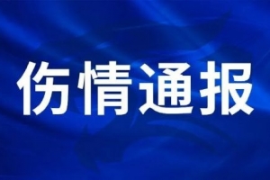 开云Kaiyun中国官网登录入口-《伤情通报》